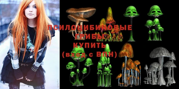 МДПВ Навашино