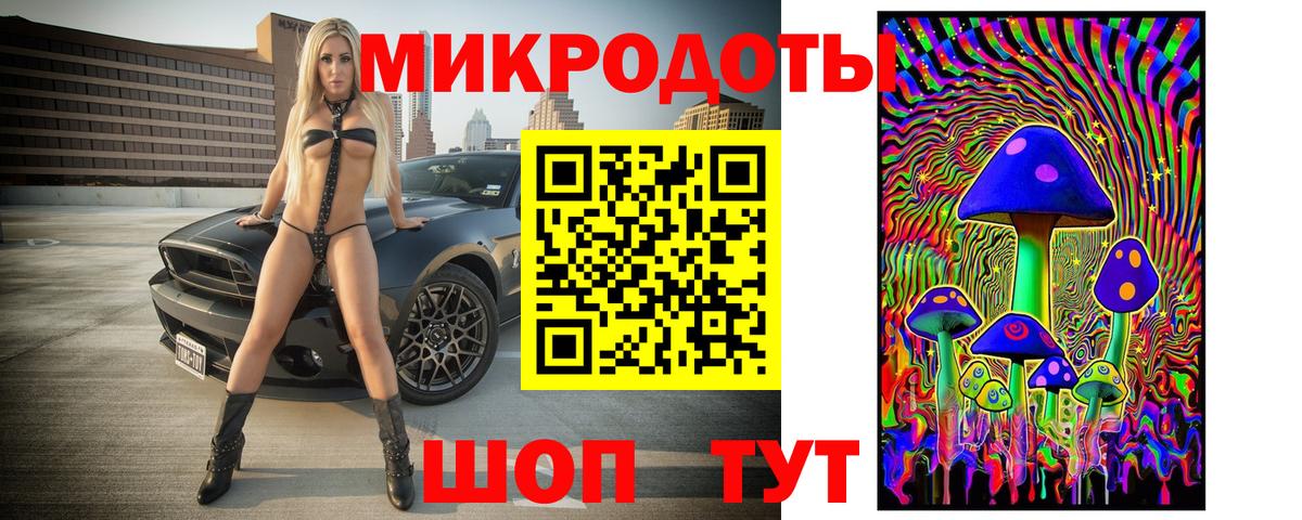 купить наркотики сайты  Вход с VPN  Каменка  Галлюциногенные грибы Psilocybe 