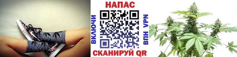 MEGA tor  Каменка  Конопля конопля  хочу наркоту 