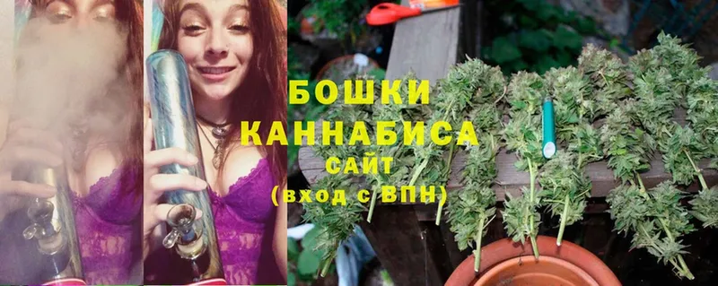 Бошки Шишки OG Kush  Каменка 